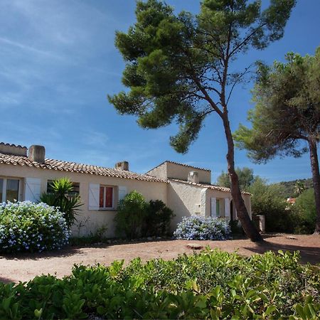 Cosy Holiday Home In Carg Se Corse Du Sud Near Sea Cargese Exterior photo