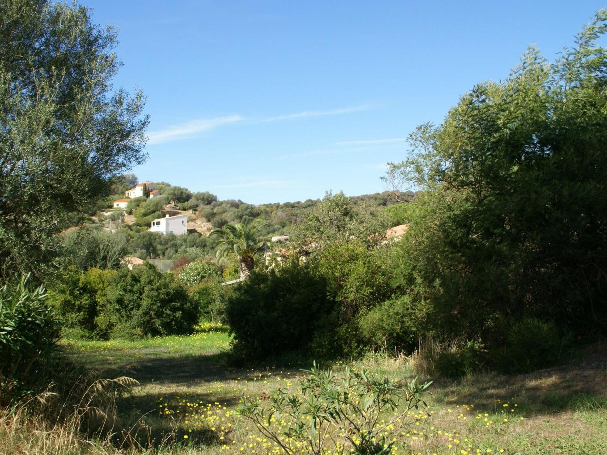 Cosy Holiday Home In Carg Se Corse Du Sud Near Sea Cargese Exterior photo