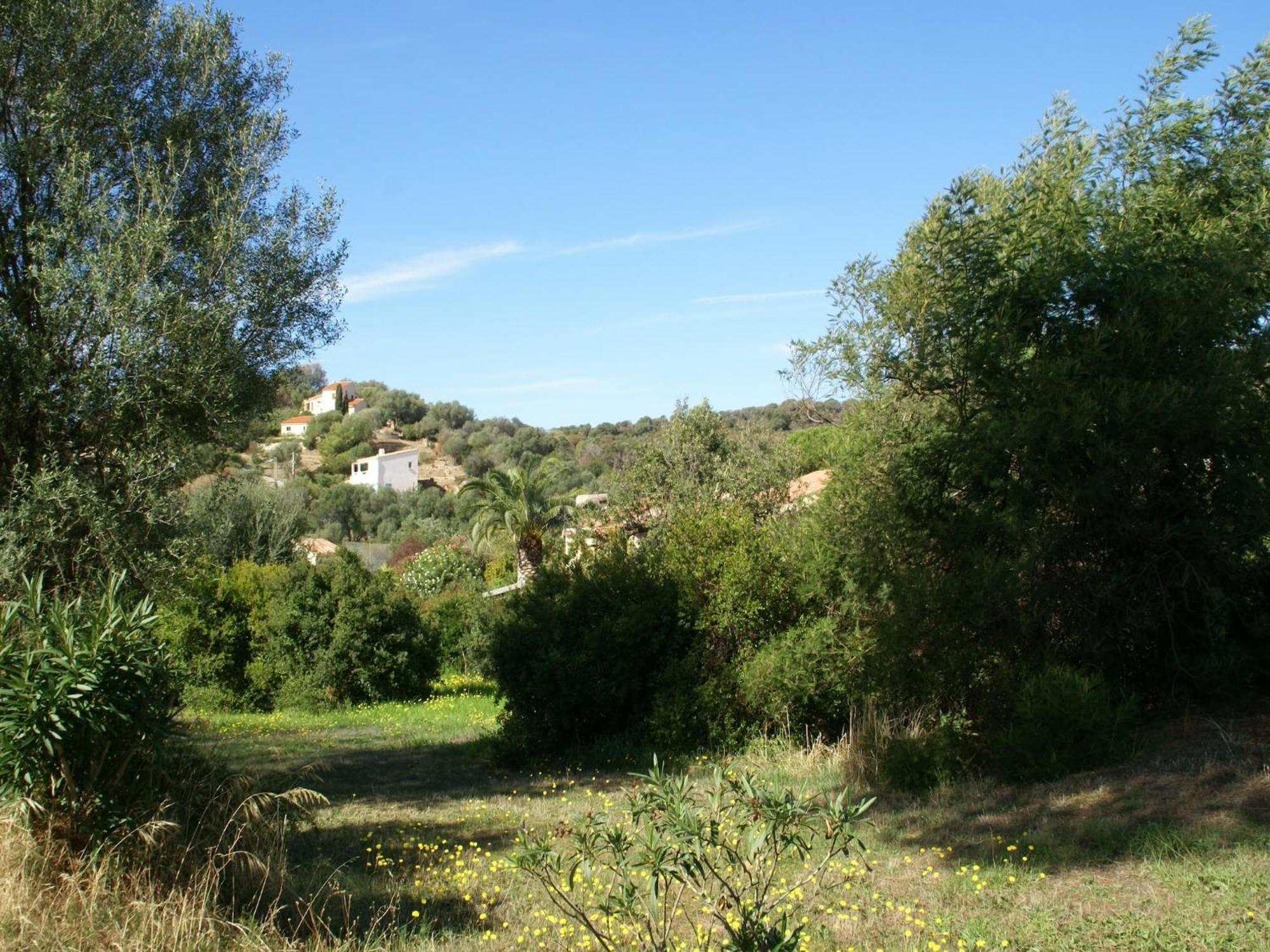 Cosy Holiday Home In Carg Se Corse Du Sud Near Sea Cargese Exterior photo